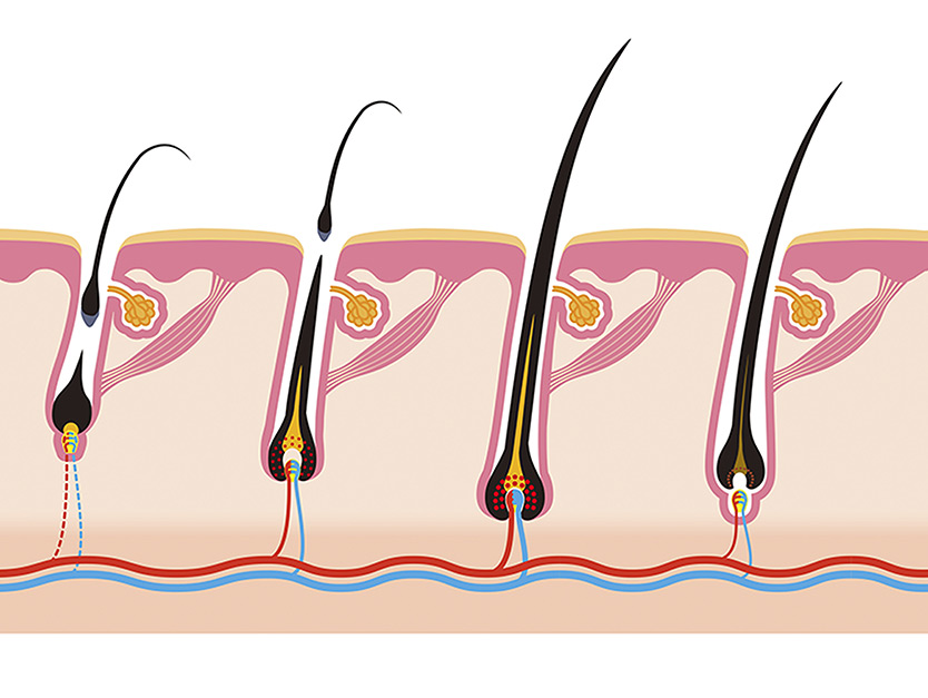 Conoscere il ciclo di vita del capello per averne cura, anche con trattamenti anticaduta